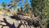 TBD L 42nd Trail - Photo 21