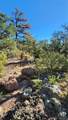 TBD L 42nd Trail - Photo 23