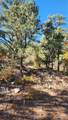 TBD L 42nd Trail - Photo 25