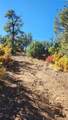 TBD L 42nd Trail - Photo 4