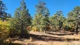 TBD L 42nd Trail - Photo 10