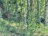 Lot 5850 Richardson Road - Photo 14