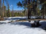 379 Lodgepole Drive - Photo 2