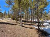379 Lodgepole Drive - Photo 18