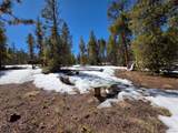 379 Lodgepole Drive - Photo 21
