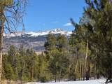 379 Lodgepole Drive - Photo 28