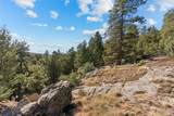 7153 Silverhorn Drive - Photo 40