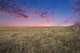 36060 Hanisch Road - Photo 1