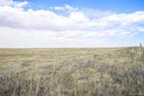 36060 Hanisch Road - Photo 2