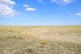36060 Hanisch Road - Photo 11