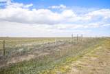 36060 Hanisch Road - Photo 3