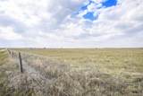 36060 Hanisch Road - Photo 8