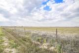 36060 Hanisch Road - Photo 10