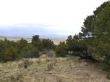 918 Pine Cone Way - Photo 16