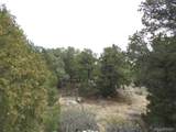 918 Pine Cone Way - Photo 3