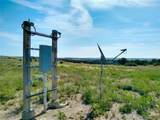  Carlson Road - Photo 13