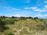  Carlson Road - Photo 3