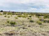  Lot 239 Turkey Ridge Ranch - Photo 2