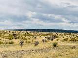  Lot 239 Turkey Ridge Ranch - Photo 4