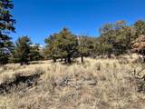 251 Baca Grant Way - Photo 4