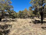 251 Baca Grant Way - Photo 10