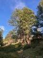 Lot 4630 Spring Road - Photo 18
