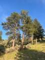 Lot 4630 Spring Road - Photo 19