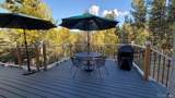 83 Pika Creek Trail - Photo 26