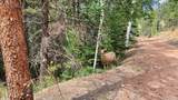 83 Pika Creek Trail - Photo 35