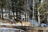 83 Pika Creek Trail - Photo 37