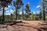 83 Pika Creek Trail - Photo 38