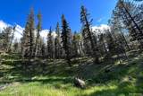 83 Pika Creek Trail - Photo 39