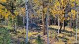 83 Pika Creek Trail - Photo 40