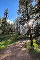 83 Pika Creek Trail - Photo 43