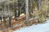 83 Pika Creek Trail - Photo 45