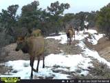12904 County Road 258A - Photo 6