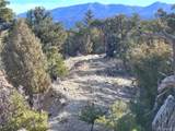 12904 County Road 258A - Photo 10