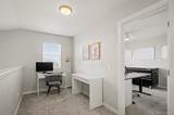 4691 Whimbrel Drive - Photo 22