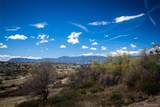 4415 Peak Crest View - Photo 23