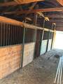 6646 State Highway 86 - Photo 14
