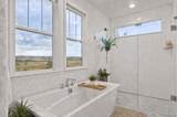 8833 Red Primrose Street - Photo 16