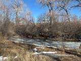 251 Alamosa River Lane - Photo 2