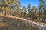 0000 Fish Pond Way - Photo 5