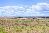 9728 Majestic Oak Drive - Photo 1