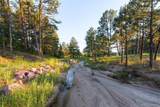 9728 Majestic Oak Drive - Photo 3