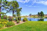 9728 Majestic Oak Drive - Photo 4