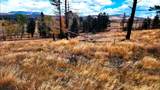 448 Wagon Mesa Loop - Photo 24