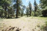 136 Elk Meadow Run - Photo 4