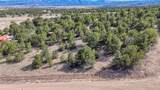 10767 Sawatch Range Road - Photo 2