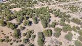 10767 Sawatch Range Road - Photo 12